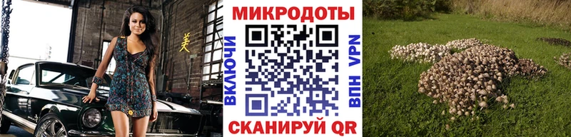 Купить где  Мостовской  Галлюциногенные грибы Cubensis 